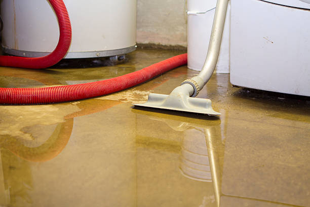 Best Water damage restoration near me  in Rocky Mount, NC