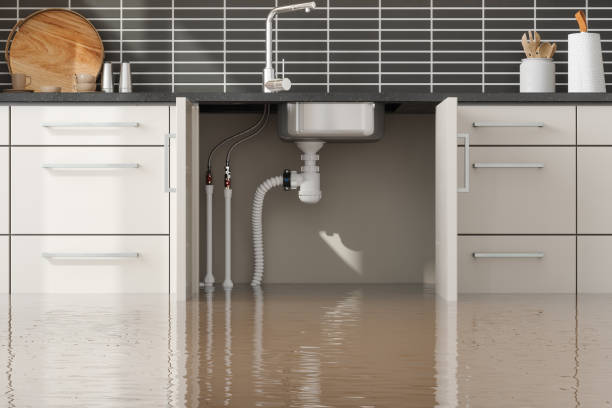  Rocky Mount, NC Water damage restoration Pros