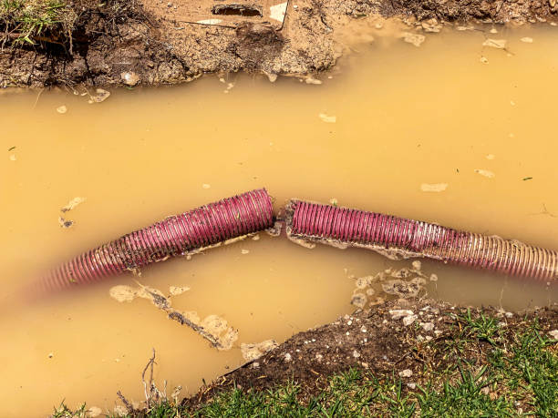 Local water damage restoration in Rocky Mount, NC